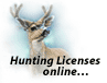 Purchase your hunting license online- avoid going out into the cold.